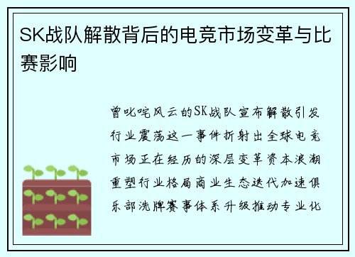 SK战队解散背后的电竞市场变革与比赛影响